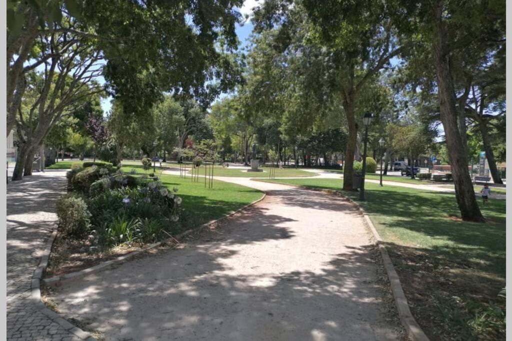 Casa Dos Avos Διαμέρισμα Κασκαΐς Εξωτερικό φωτογραφία